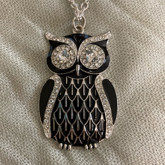 Stunning Long Black Owl Pendant Necklace - Picture 3 of 3